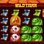 Comprehensive Guide to Playing Online Slot Games Effectively
